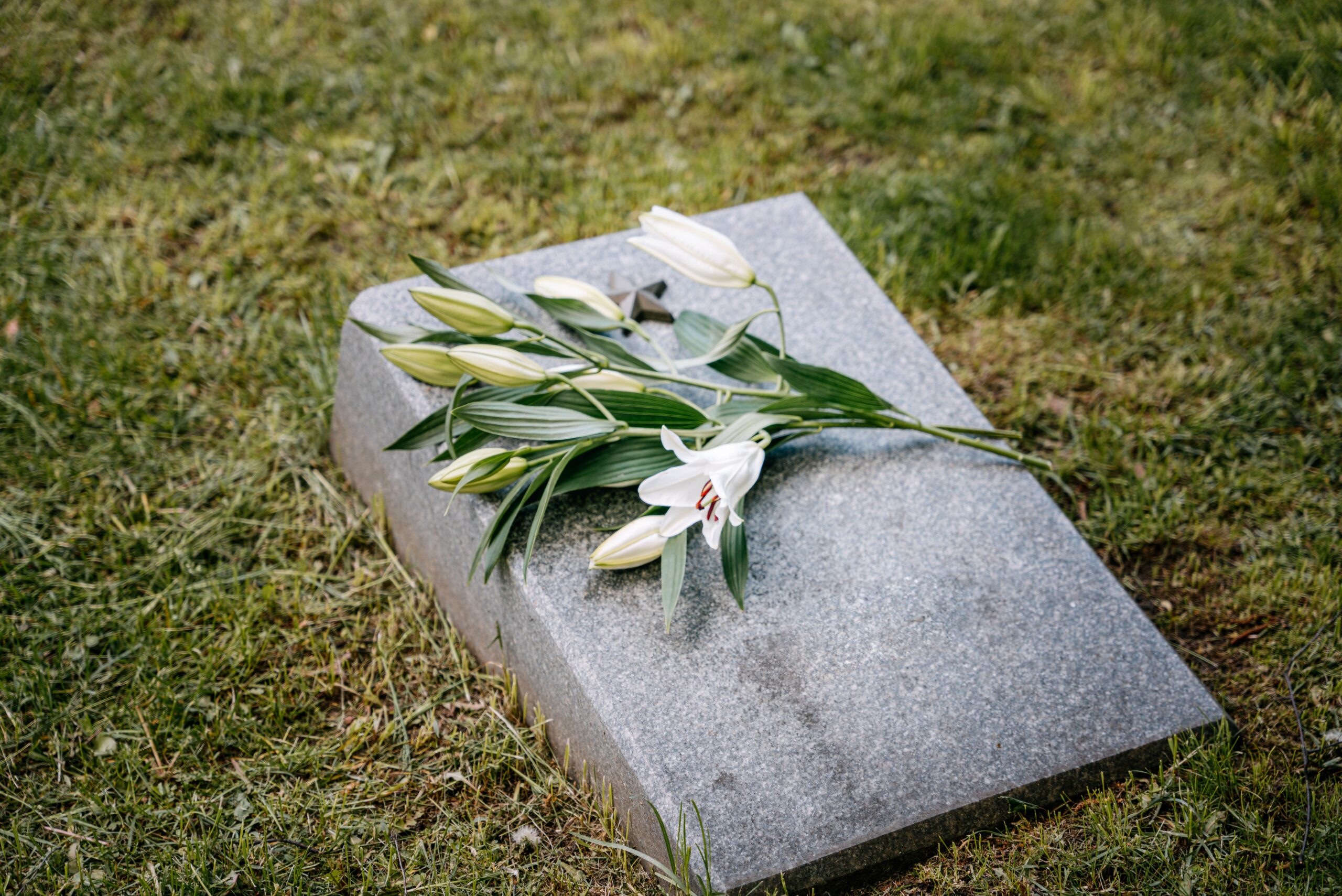 white flowers on a grave